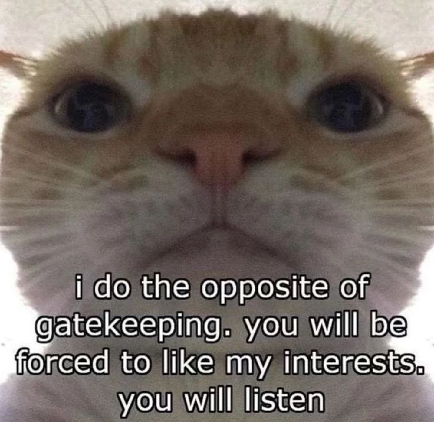 you will be forced to like my interests - i do the opposite of gatekeeping. you will be forced to my interests. you will listen